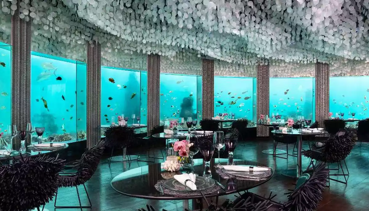 جزیره خصوصی نیاما (Niyama Private Island Maldives)، مالدیو