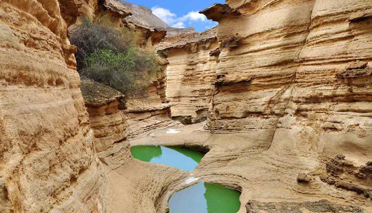 اقامت حمل و نقل در قشم