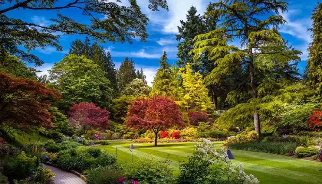 باغ گیاه شناسی ملی ایران