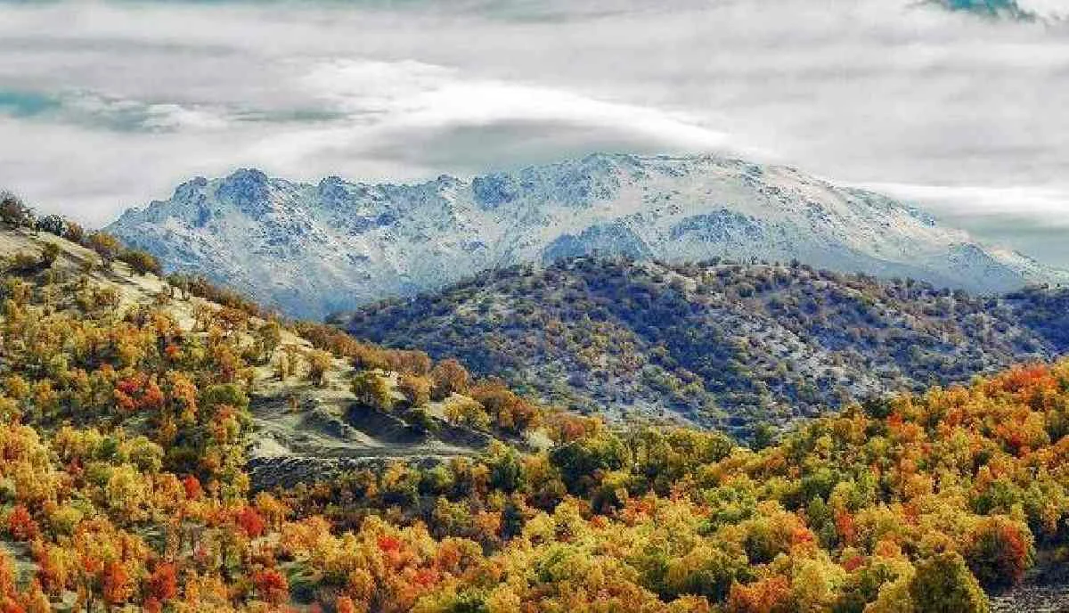 کوه‌های زاگرس؛ راهنمای طبیعت‌گردی، تصویر داخلی 1