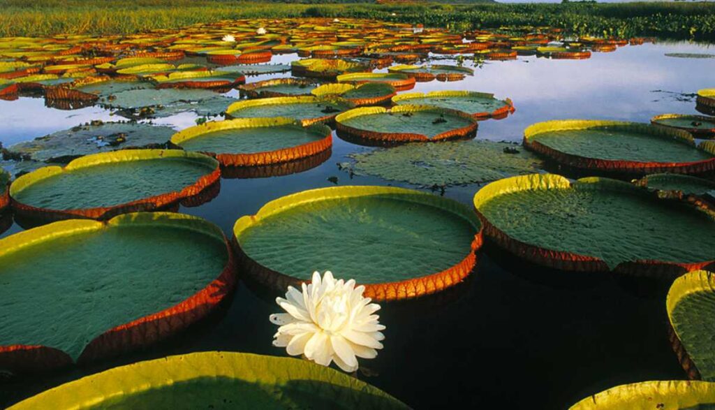 برترین تالاب های بین المللی